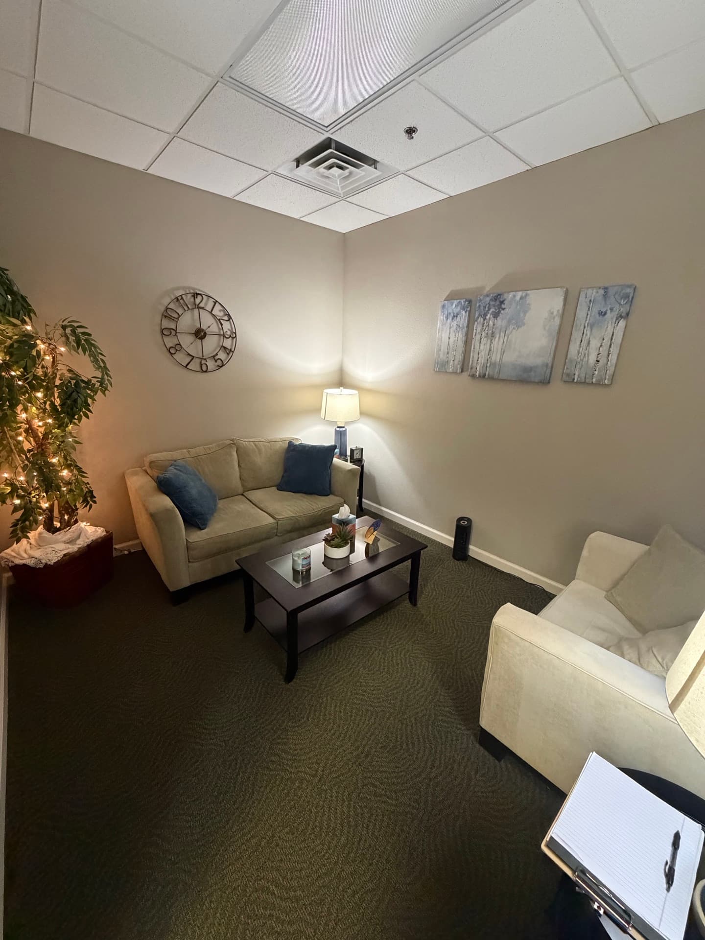 Elk Grove therapy office 2